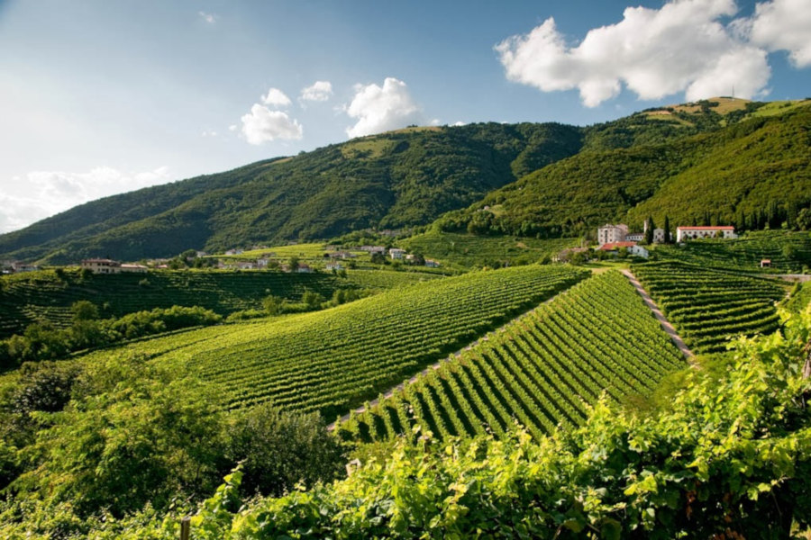cronometro del prosecco
