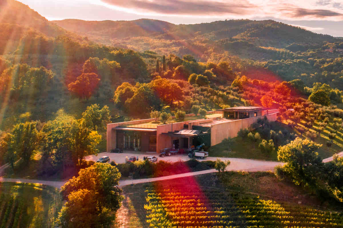 Un cabernet franc di nome Argirio che, tra note vegetali e ambizioni vellutate, ci parla dei rapporti umani nella società attuale.