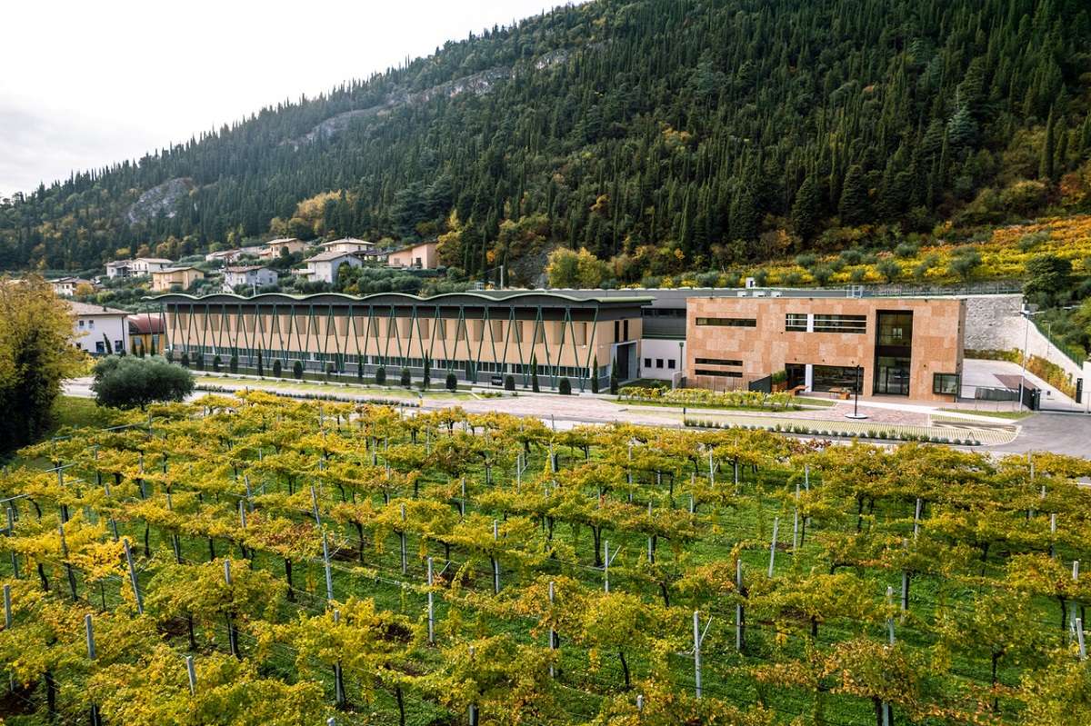 cantina Gerardo Cesari a Fumane