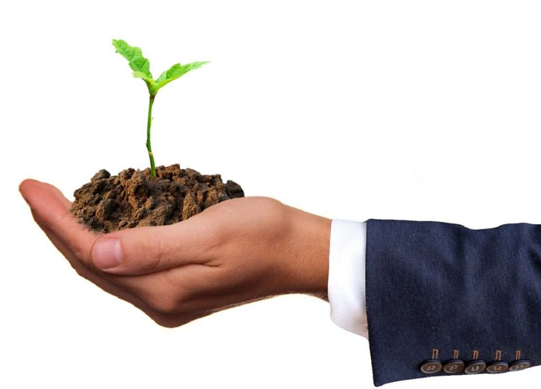 mercato bio cresce in italia