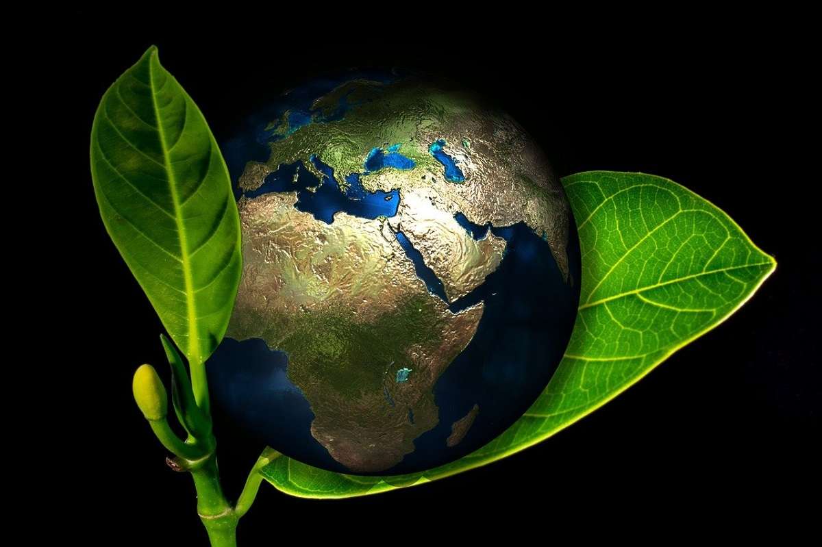 superfici bio terra
