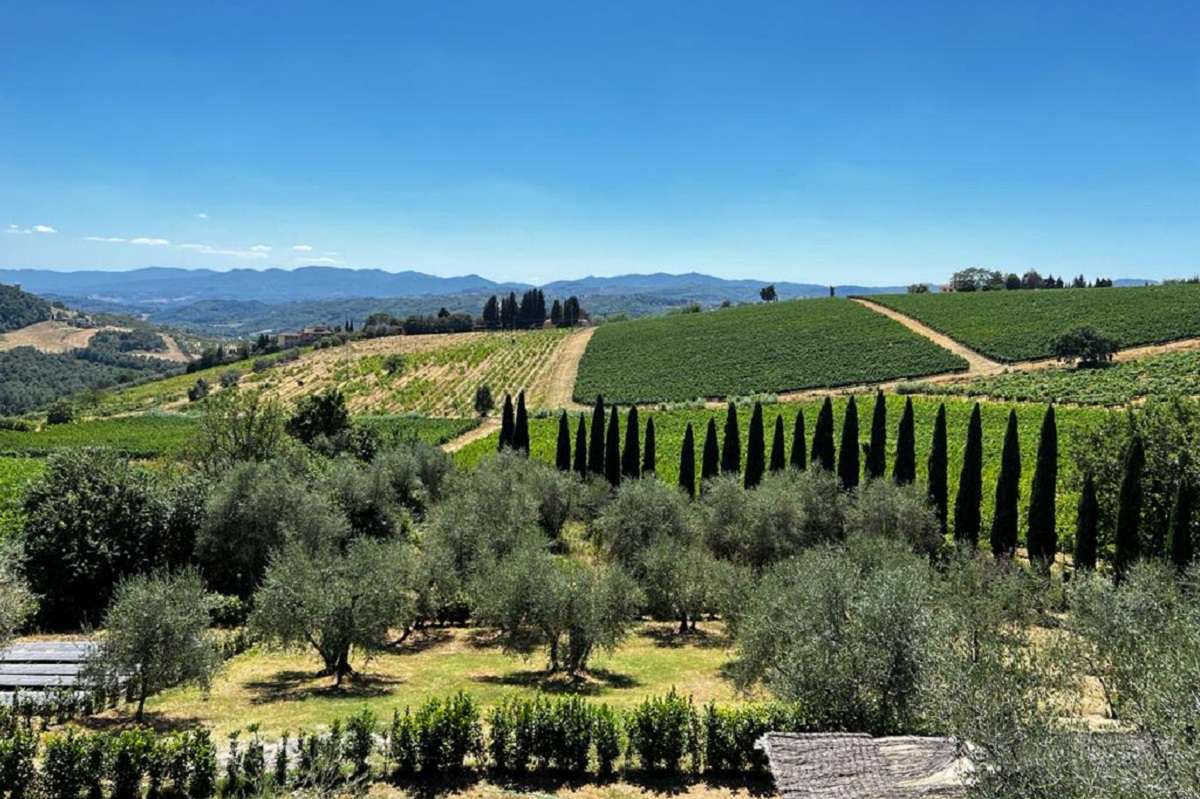 Villa Travignoli chianti rufina sguardo insieme