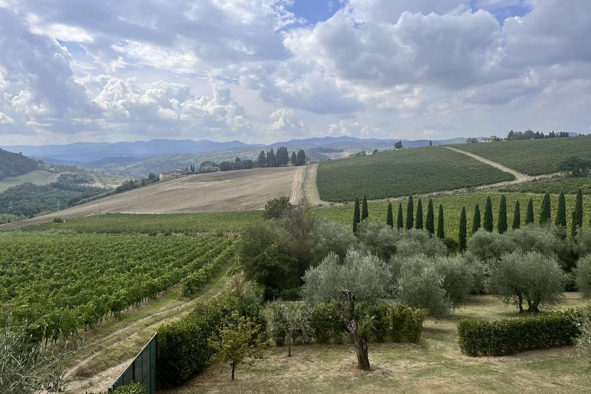 vista dei vigneti di Villa Travignoli 