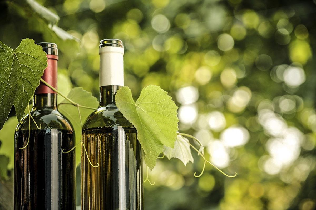 Al centro dell’intesa la promozione di un’operatività che integri la certificazione Bio con lo standard Equalitas Vino Sostenibile