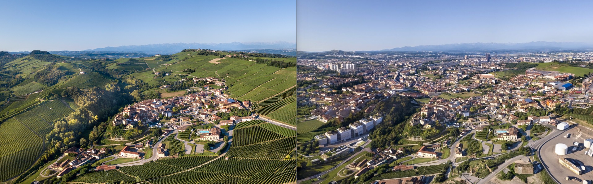 barolo confronto senza vino