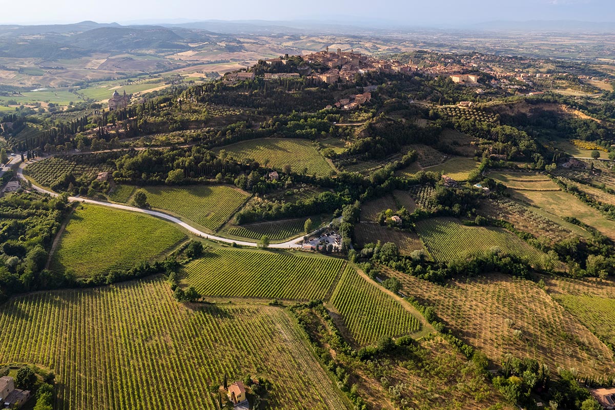 Nobile di Montepulciano, anteprima 2024