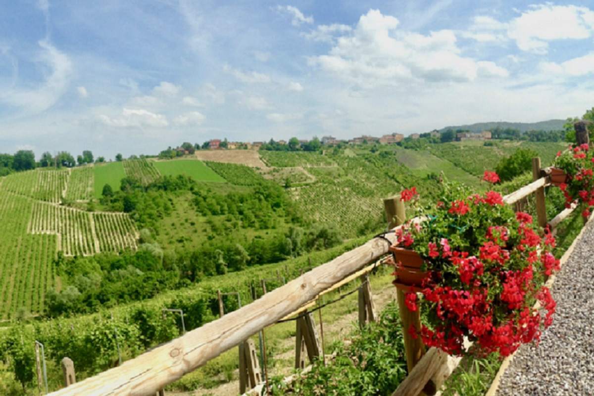 Prima edizione, il 15 giugno lungo la Strada dei Vini e dei Sapori dei Colli Piacentini, per Aromatica, l’evento creato per dare l’occasione di scoprire il lato più originale dei vini del territorio: quello aromatico.