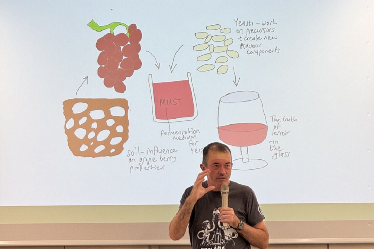 La ricerca, raccolta in un libro, è stata realizzata da Maurizio Ugliano, docente di Tecnologie e processi enologici e Wine identity and typicality presso il Dipartimento di Biotecnologie dell’Università di Verona e esperto di composizione aromatica dei vini