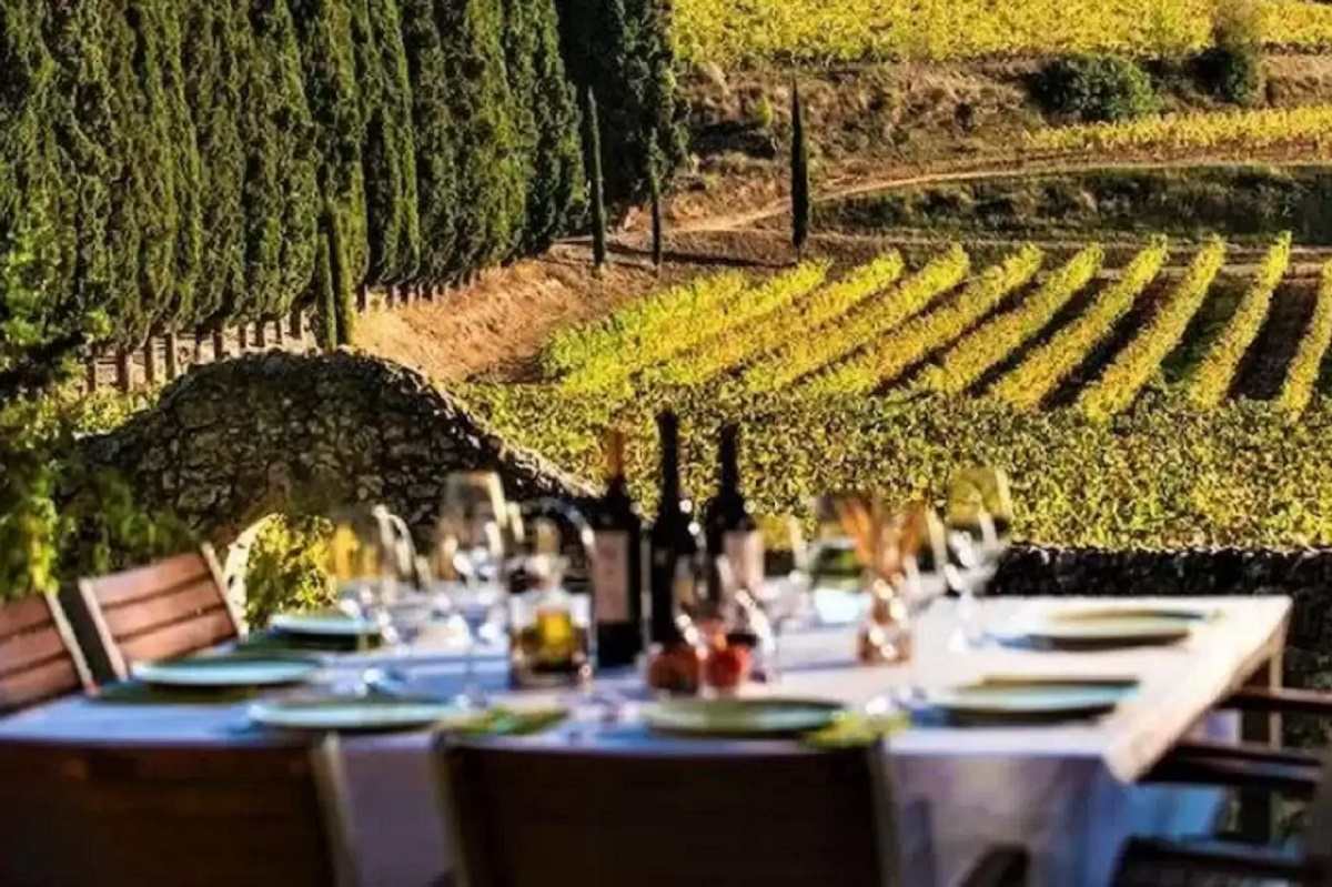 Si alza il sipario su Vinitaly Tourism, la start-up del 57mo Salone internazionale dei vini che amplia la propria offerta tematica con l’enoturismo, un comparto che in Italia vale 3 miliardi di euro di fatturato