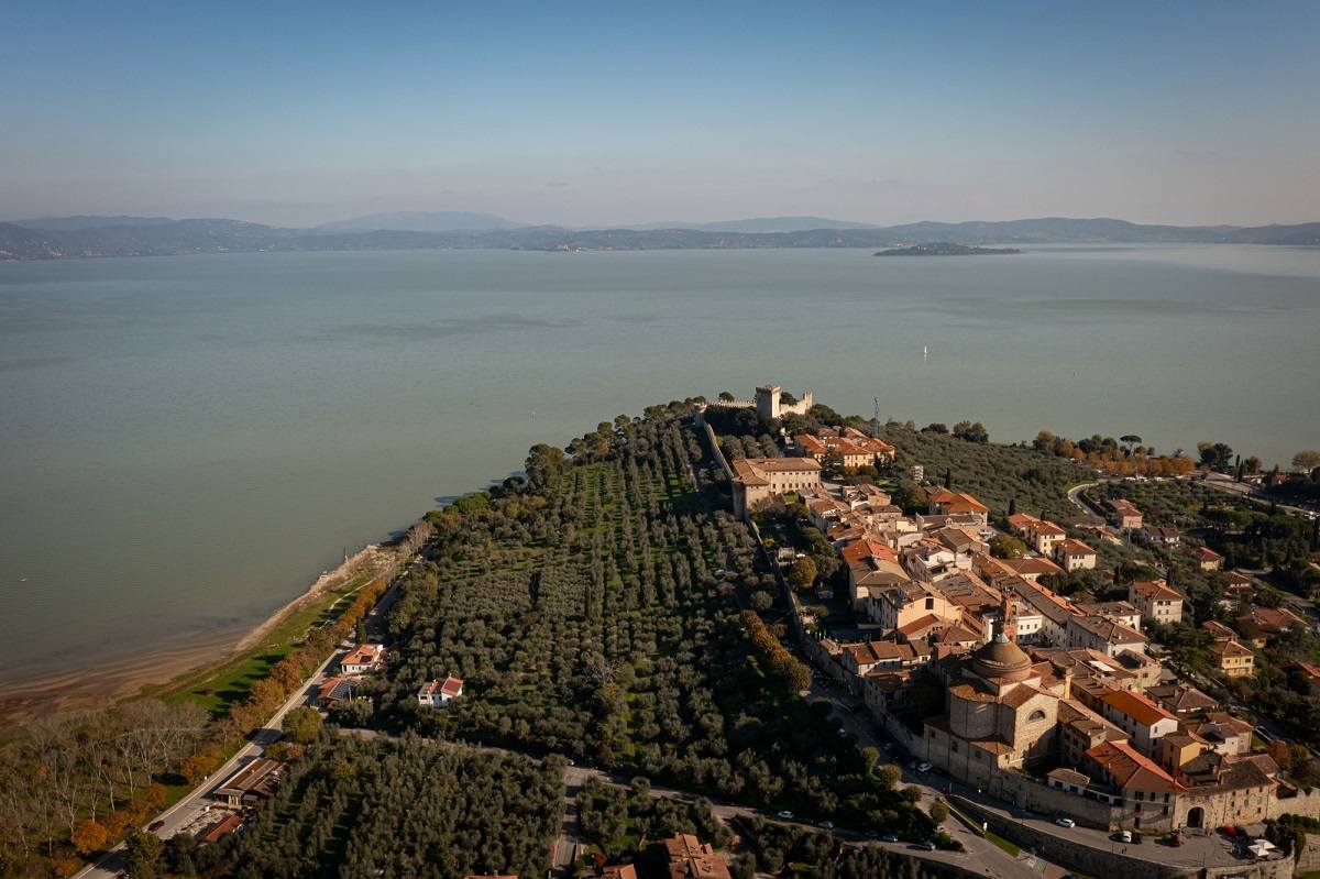Frantoi Aperti in Umbria dal 18 ottobre al 16 novembre, per cinque fine settimana, proporrà un calendario di iniziative per celebrare l’arrivo del nuovo olio extravergine d’oliva
