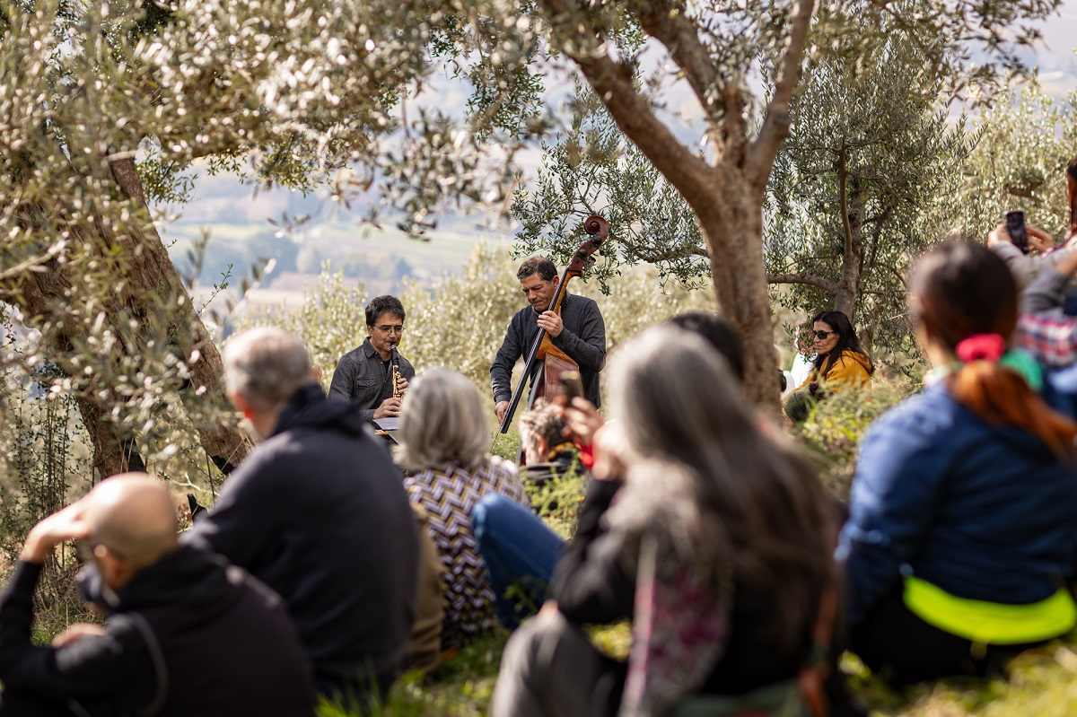 Frantoi Aperti in Umbria, edizione 2025 dal 18 ottobre al 16 novembre. Tra le novità, assaggi di olivo evo sul treno turistico Roma-Assisi.