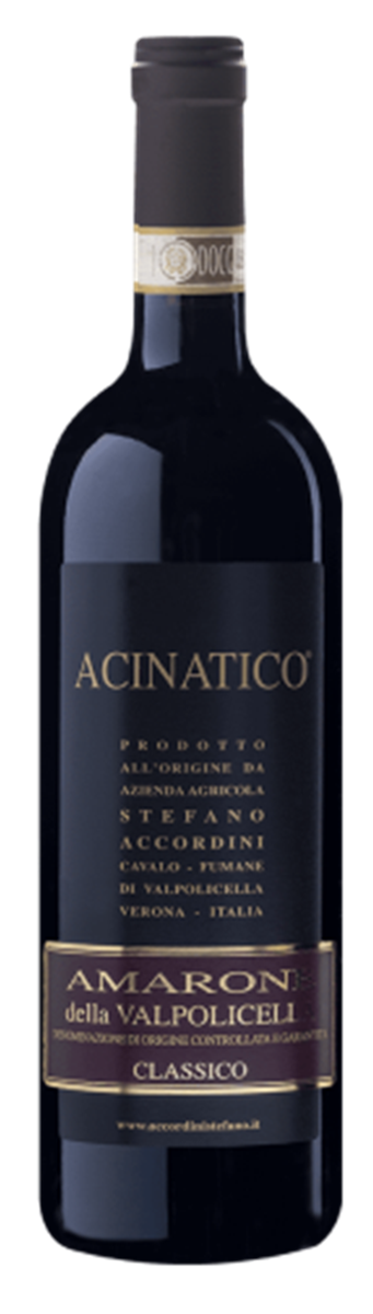 Accordini Stefano &ndash; Acinatico Amarone della Valpolicella DOCG 2021