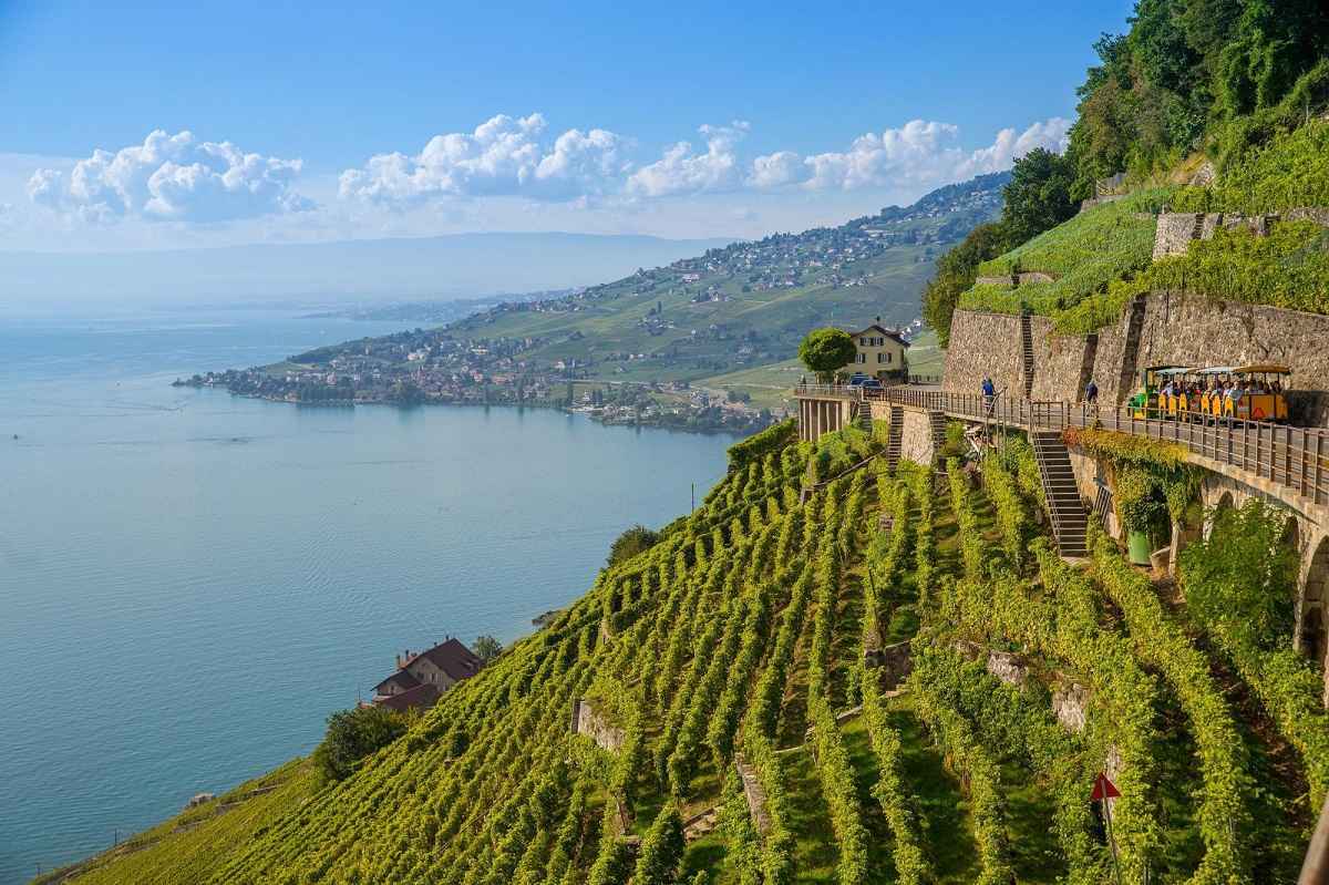 Il Mondial des Vins Extrêmes guarda oltre i confini italiani e per l’edizione 2026 sceglie la Catalogna come sede della cerimonia conclusiva