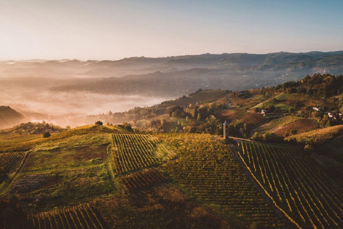 Asti Docg, proposta rese a 85 quintali per ettaro per vendemmia 2026: necessario adeguare volumi produttivi e preservare valore denominazione