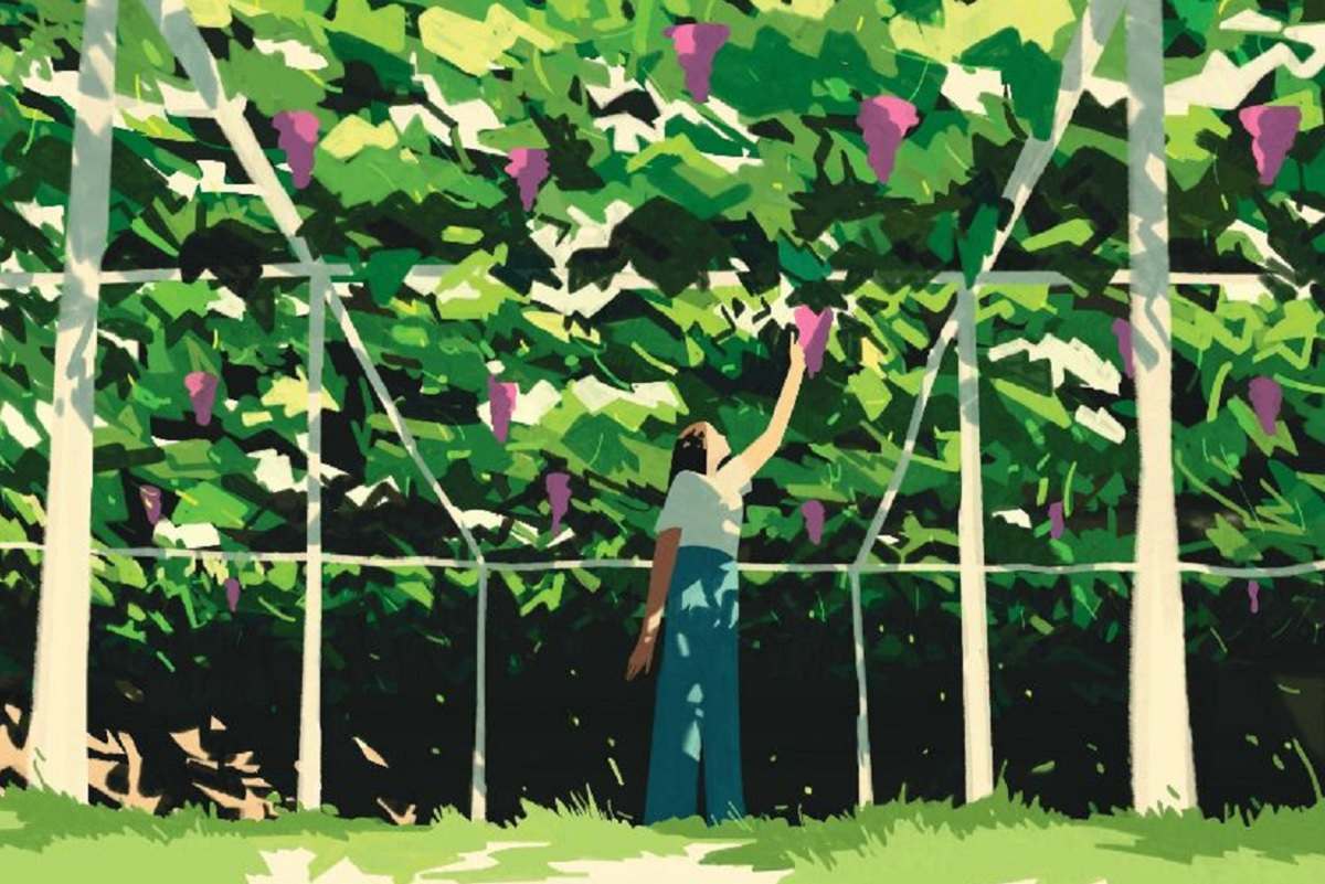 Mercato Vini Fivi 2026 a Bologna con il manifesto di Emiliano Ponzi. Dal 21 al 23 novembre a BolognFiere 1000 vignaioli indipendenti