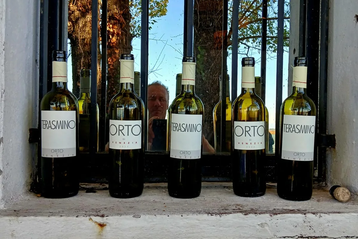 L'uvaggio dell'Orto di Venezia è composto da una percentuale precisa, pari al 60% di malvasia istriana (proveniente originariamente dalla costa dalmata), 30% di vermentino e 10% di fiano d'Avellino