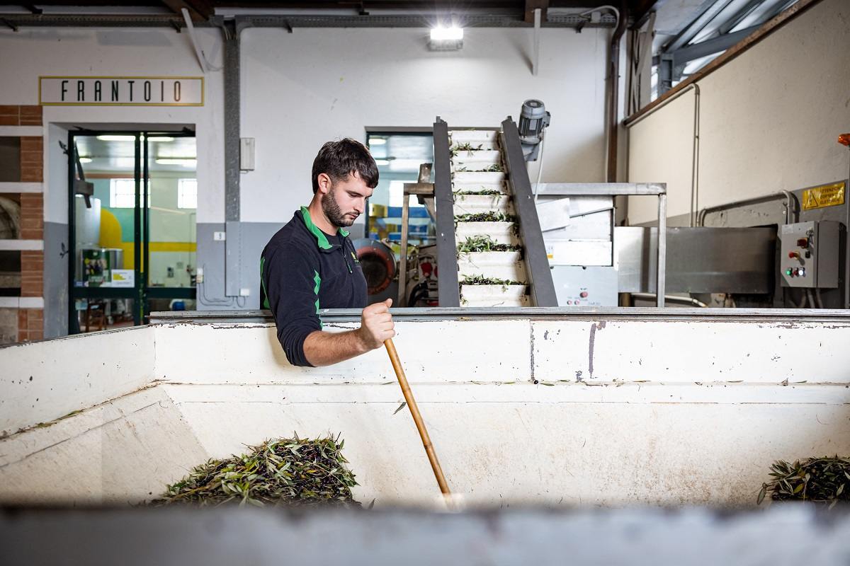 Cinque fine settimana per entrare nel vivo della raccolta e della frangitura delle olive, incontrare i produttori e assaggiare il nuovo olio extravergine direttamente nei frantoi. È la formula di Frantoi Aperti in Umbria